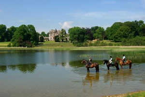 castle leslie