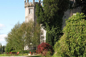 kinnitty castle